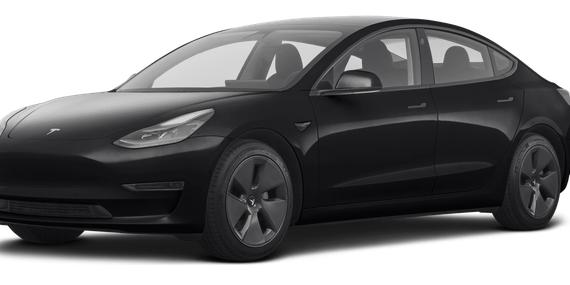 TESLA MODEL 3 2021 5YJ3E1EA1MF066621 image